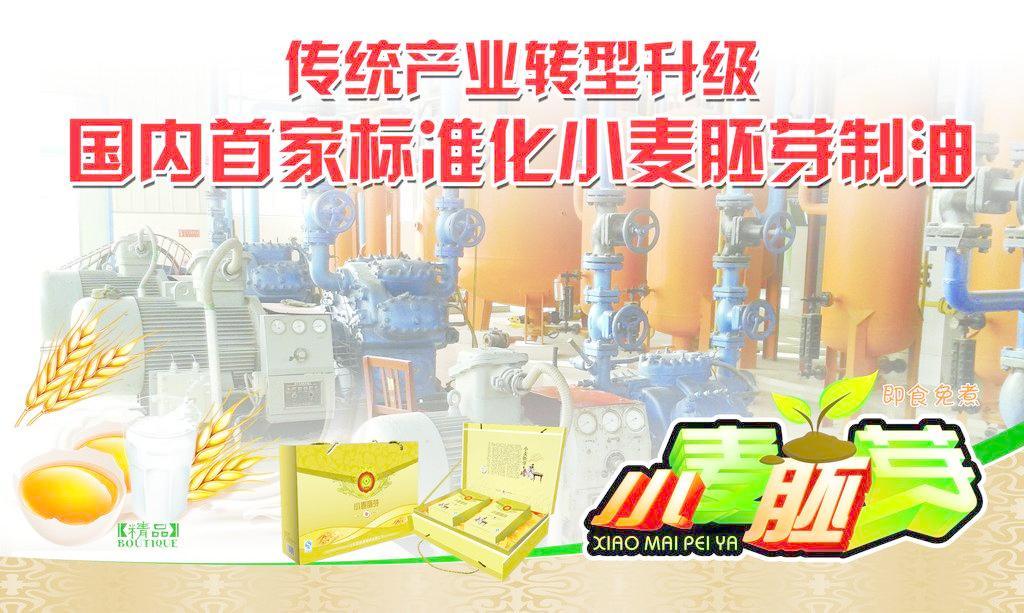 小麥胚芽 從科研圖像到產(chǎn)業(yè)服務(wù)——探索會(huì)議與展覽在現(xiàn)代農(nóng)業(yè)中的價(jià)值